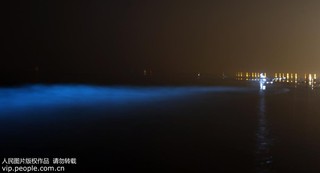 2017年9月17日凌晨，在河北省秦皇島市金夢(mèng)海灣浴場(chǎng)拍攝的“熒光?！?。