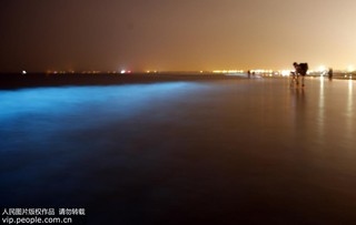 2017年9月17日凌晨，在河北省秦皇島市金夢(mèng)海灣浴場(chǎng)拍攝的“熒光?！?。