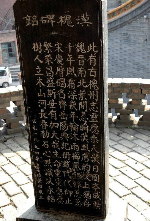 相傳此槐為漢代所植，樹干高達(dá)30余米，胸徑2.49米，主干高6.1米，冠幅東西24.8米，南北25.2米，一級分四枝，西面一枝被鋸，南面一枝風(fēng)折。